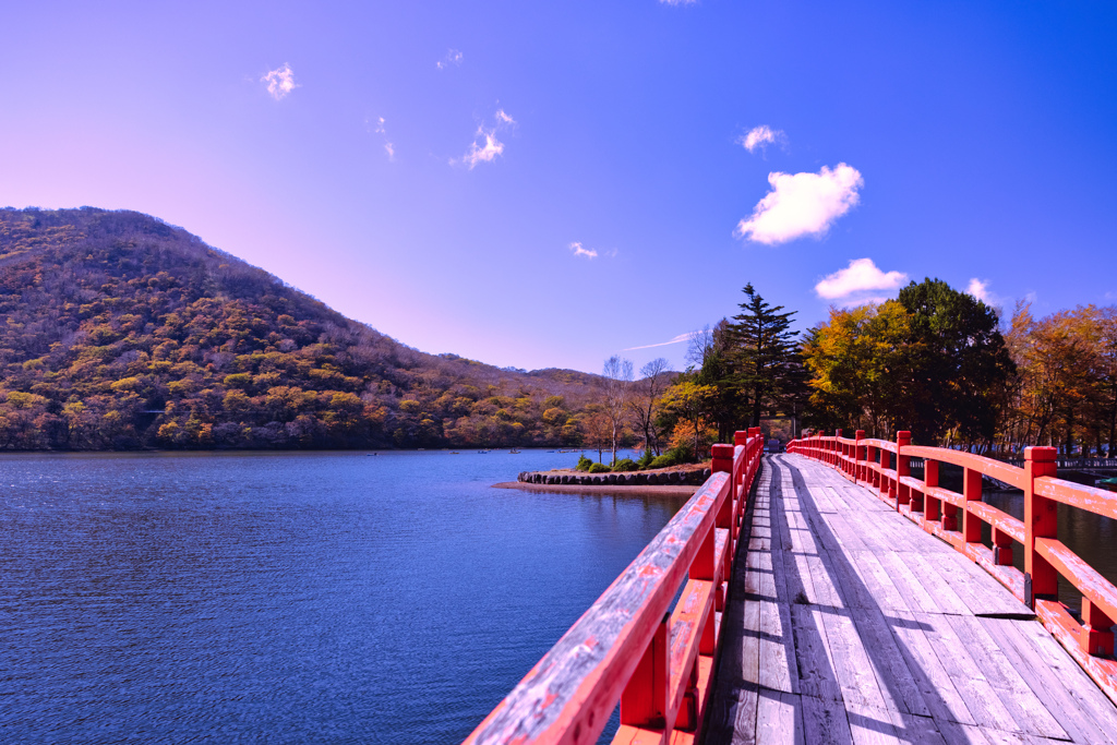 【フォトログ】赤城神社-3