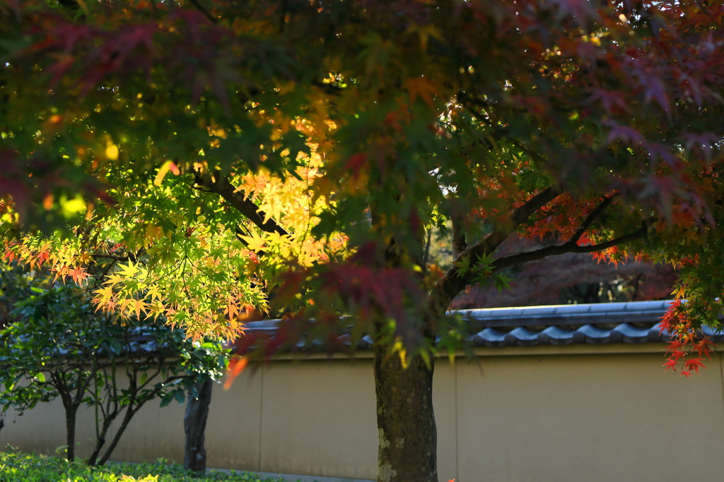 【フォトログ】航空公園-1