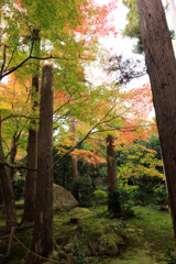 【フォトログ】京都・龍安寺-2