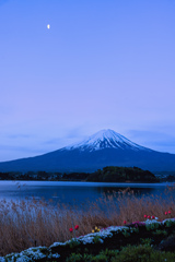 【フォトログ】河口湖湖畔からの富士山-2