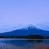 【フォトログ】河口湖湖畔からの富士山-2
