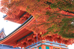 【フォトログ】京都・清水寺-2