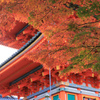 【フォトログ】京都・清水寺-2