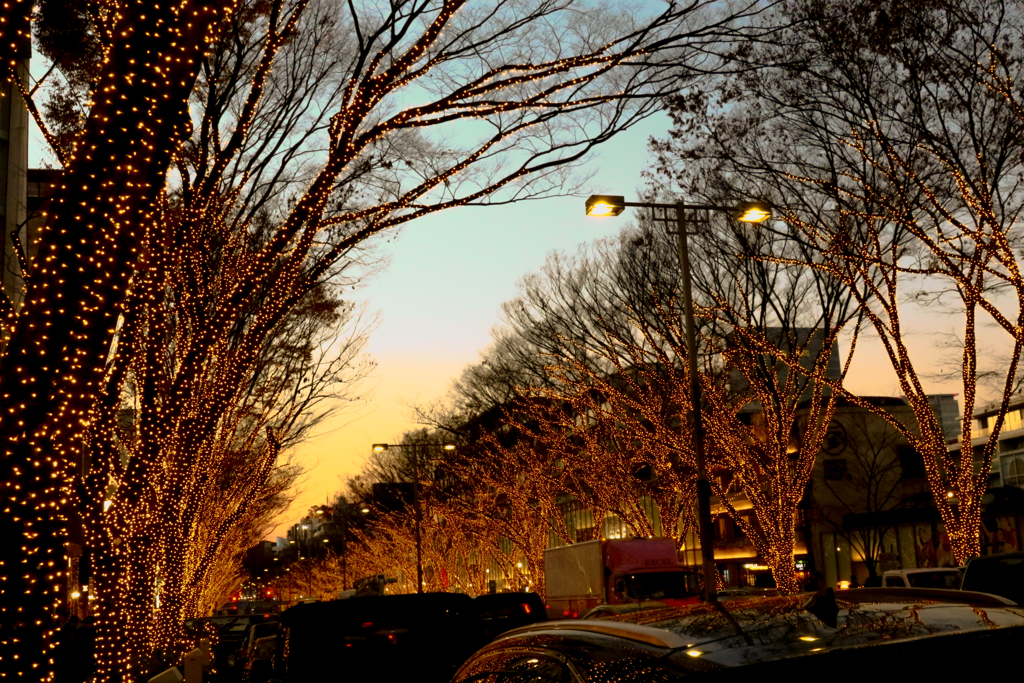冬の夕暮