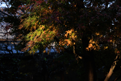【フォトログ】航空公園-1