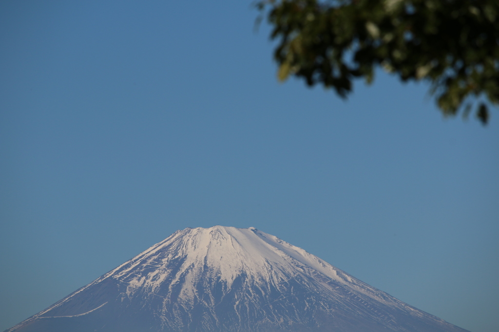 早春の富士