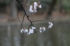 つつましく