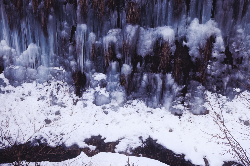 【フォトログ】梨木の氷柱-1
