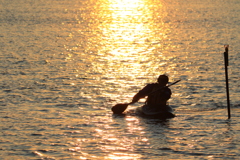 夕日を浴びて