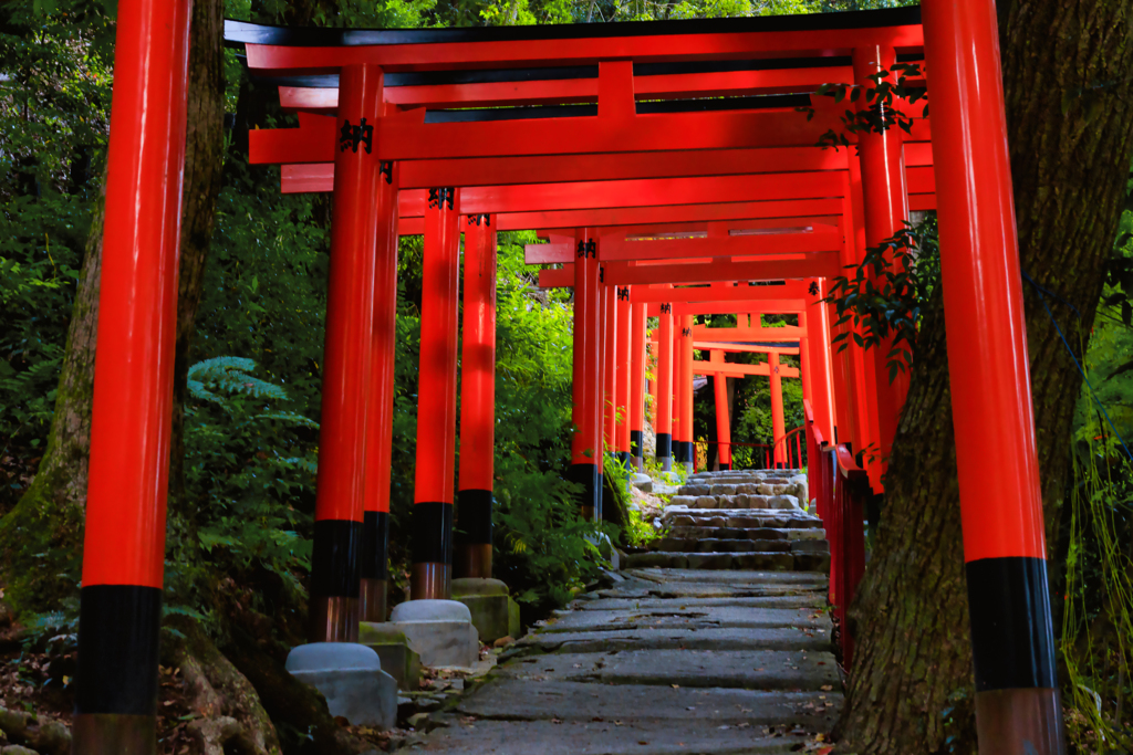 【フォトログ】上賀茂神社-1