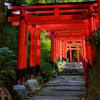 【フォトログ】上賀茂神社-1