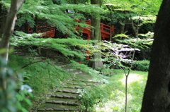 梅雨のなかやすみ１