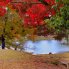 【フォトログ】東大寺-1