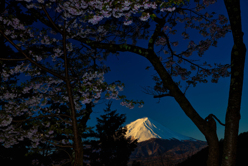 春富士の夜明け