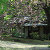 ある庭園の庵