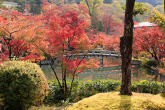 【フォトログ】京都・永観堂-2