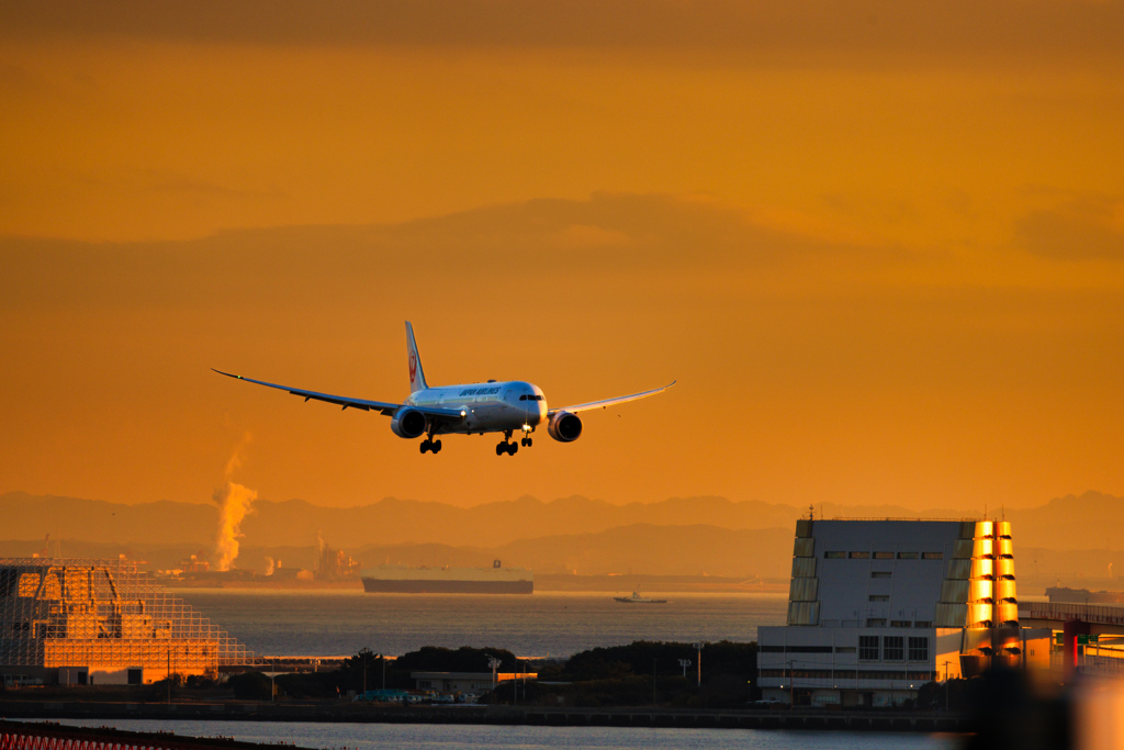 【フォトログ】羽田空港第一ターミナル-5