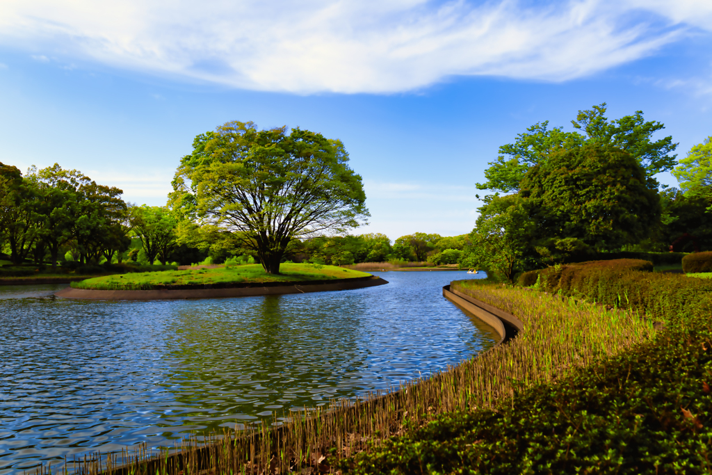 【フォトログ】昭和記念公園のチューリップ-1