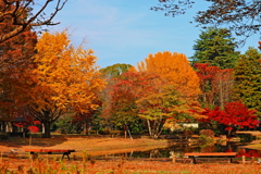 ある庭園の風景