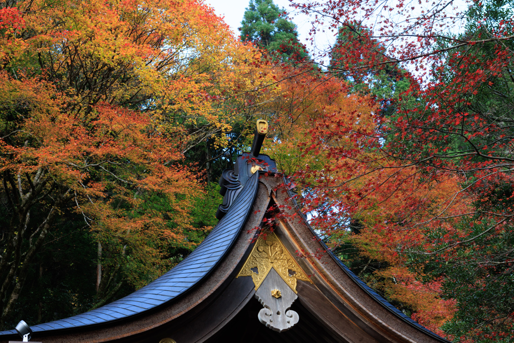 【フォトログ】貴船神社-2