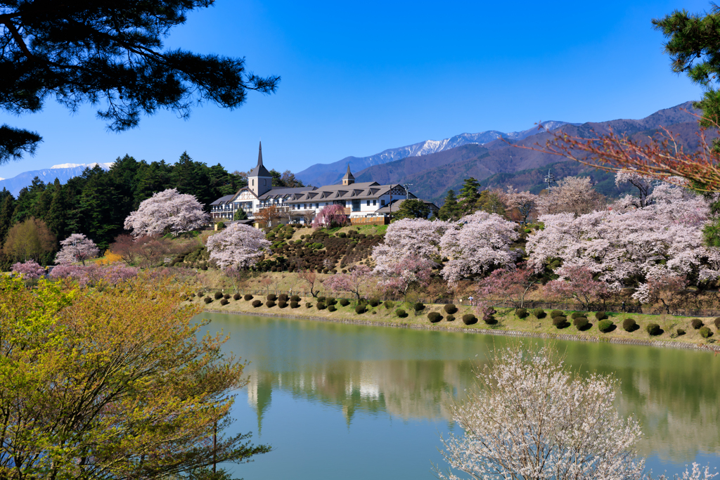 【フォトログ】荒神山スポーツ公園-2