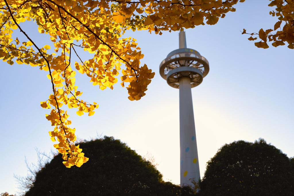 【フォトログ】航空公園-2