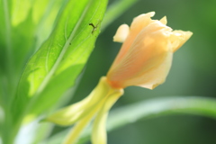 もうすぐ梅雨明け！都内の公園にて１