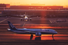 【フォトログ】羽田空港第一ターミナル-3