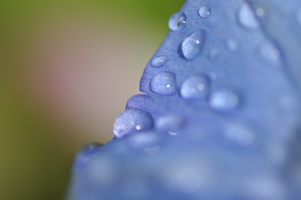 水玉レンズ