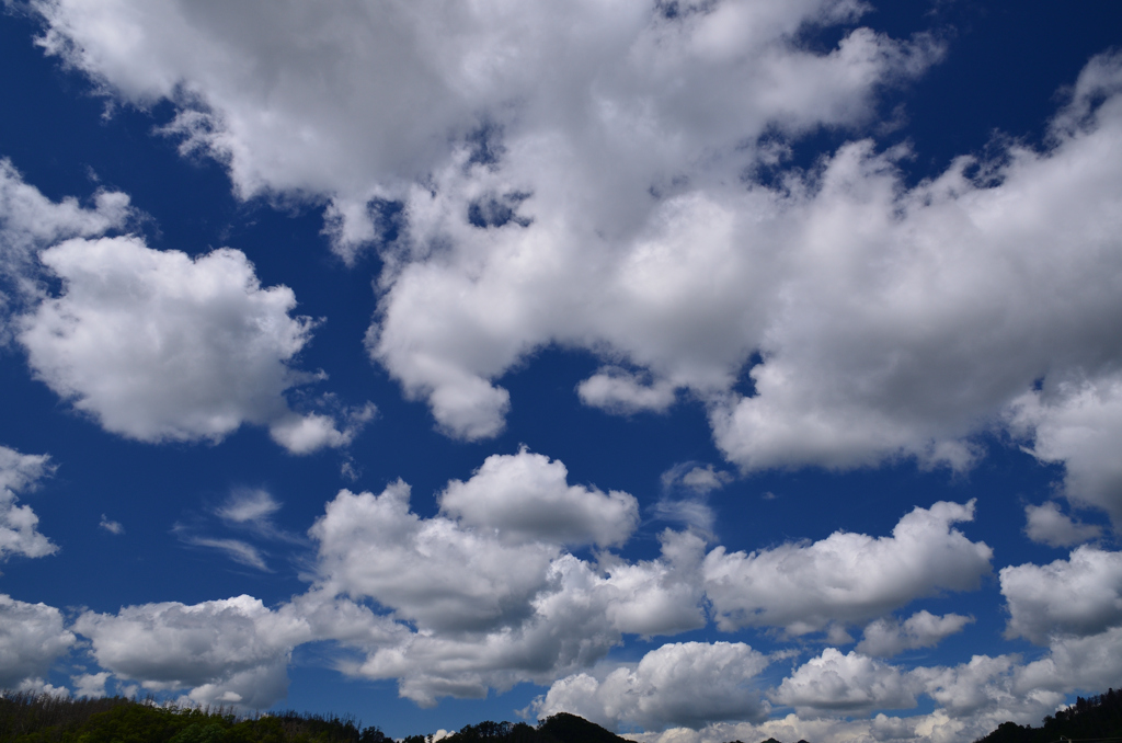 夏空に浮かぶ