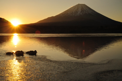 朝の散歩