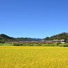 初秋を駆けるしなの②