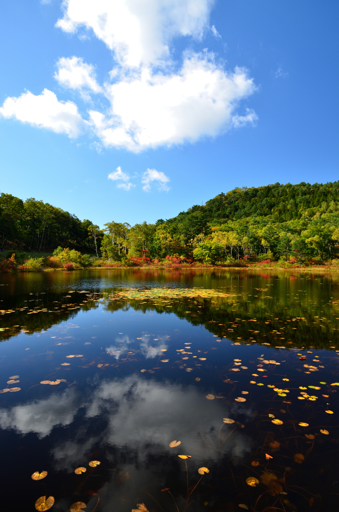 初秋の水鏡