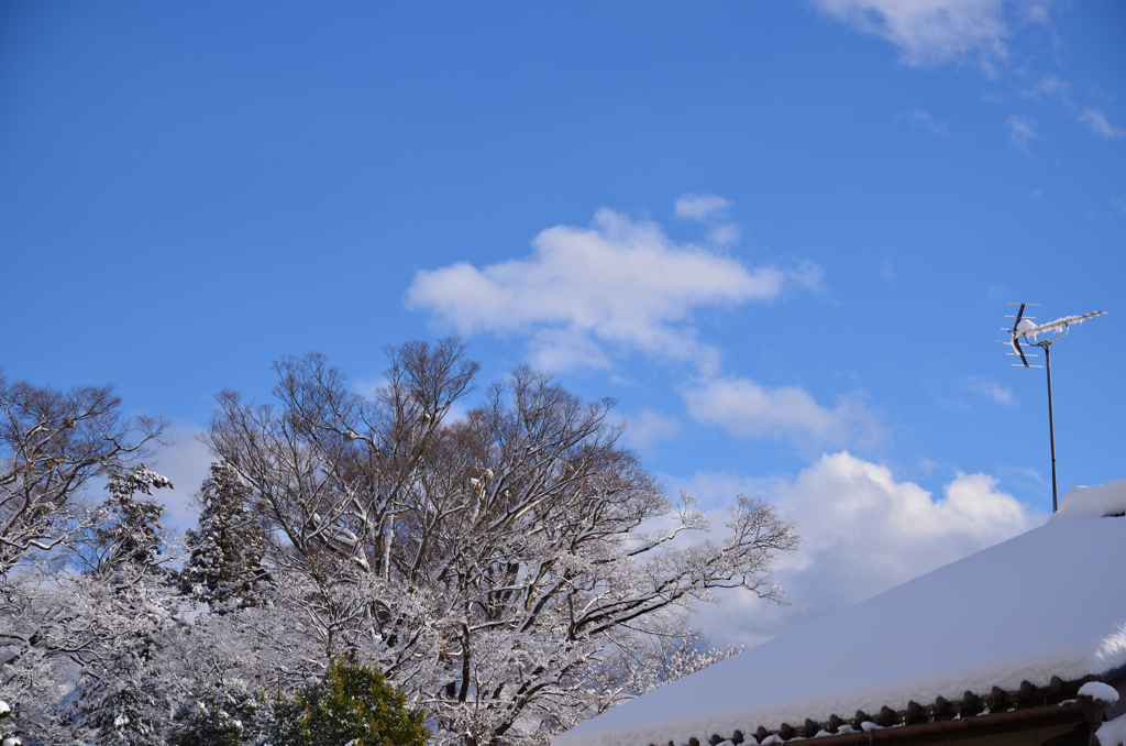 雪のち晴れ