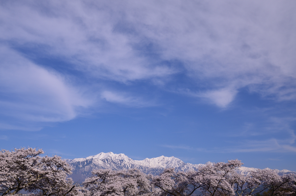 春景を満喫 2