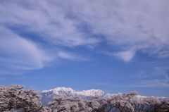 春景を満喫 2