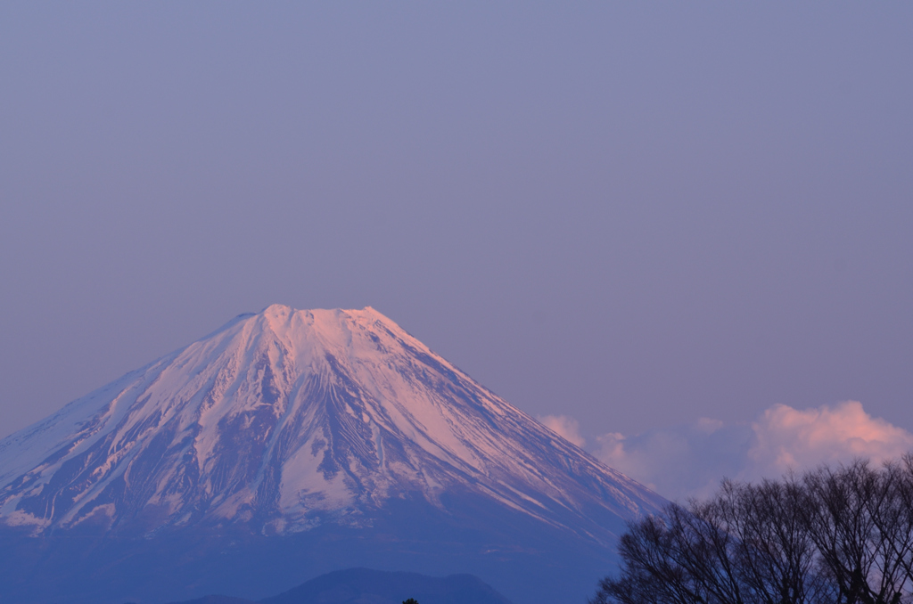 淡い夕照