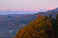 晩秋の夜明け