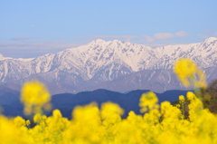 里山の春