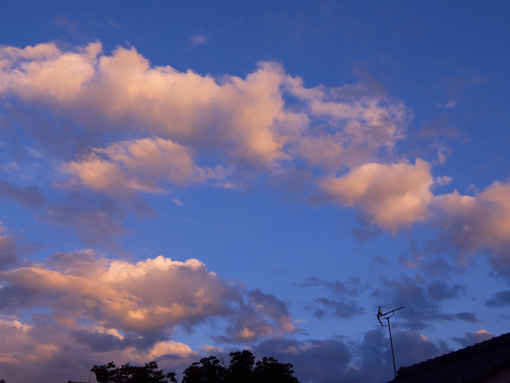 軒先から夕暮れを見る