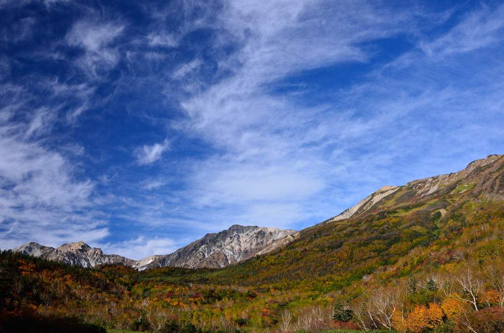 紅葉も秋空も最高