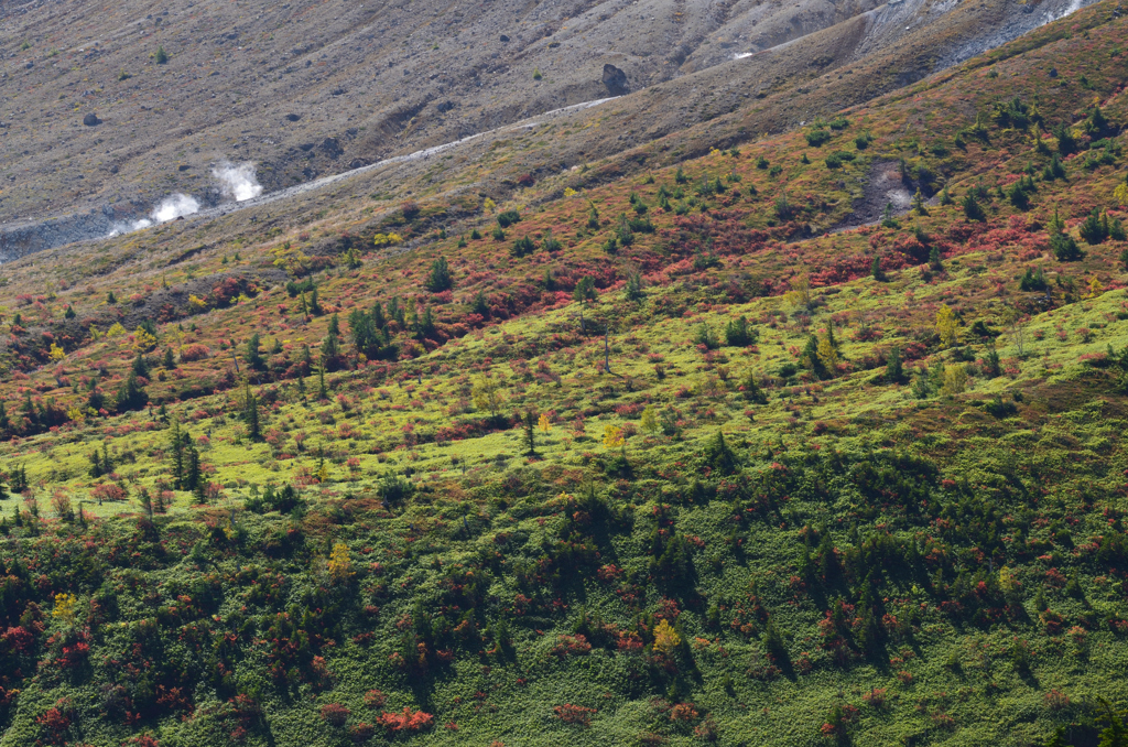 2021草津白根山の紅葉①