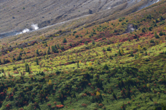 2021草津白根山の紅葉①