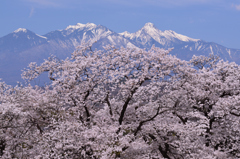 八ヶ岳と一緒に