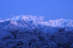 月明かりに浮かぶ春景