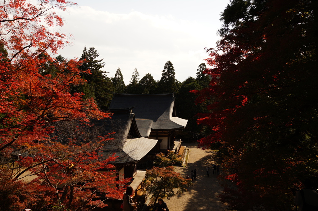 秋の神護寺3