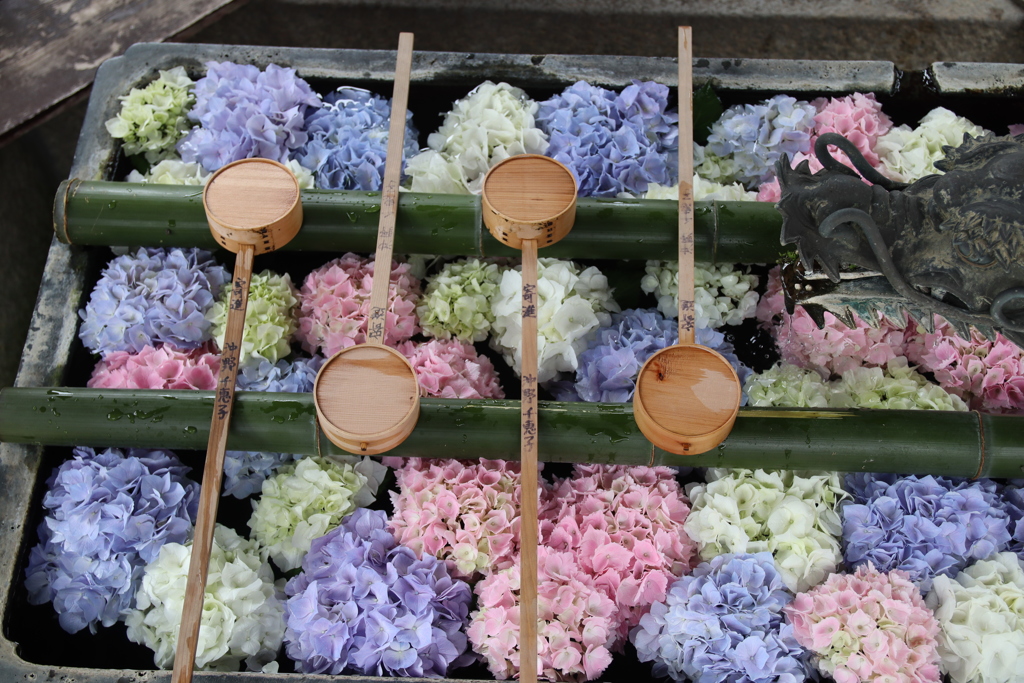 柳谷観音（楊谷寺）②