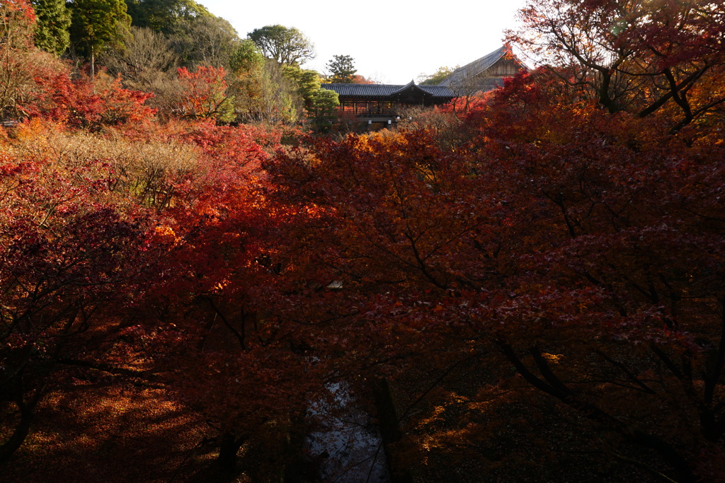 東福寺2