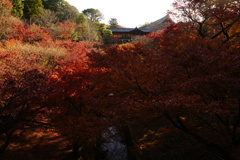 東福寺2