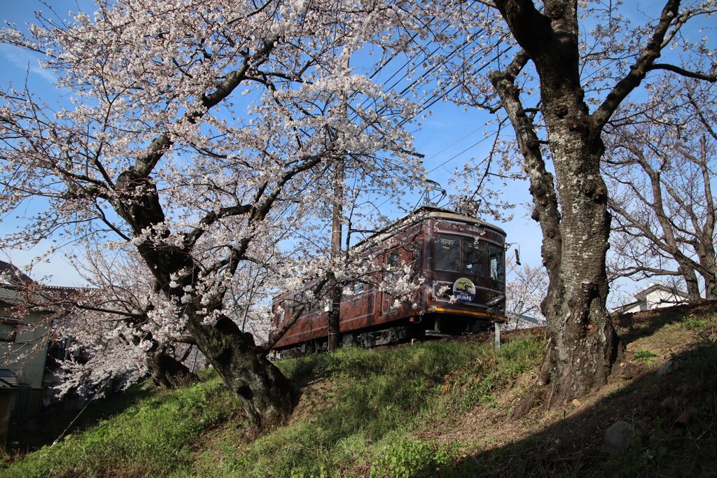 嵐電(レトロ風車両)